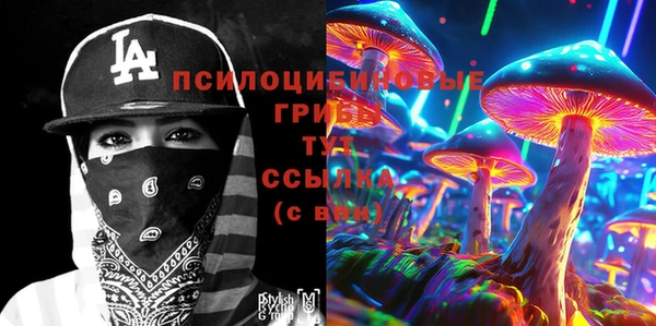 бошки Абаза