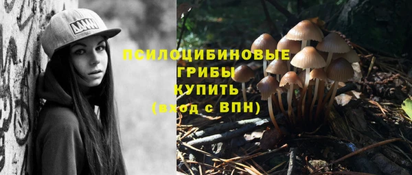 бошки Абдулино