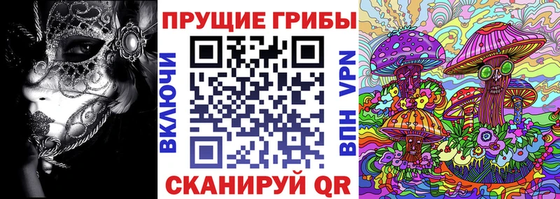 Псилоцибиновые грибы GOLDEN TEACHER  где купить наркоту  дарк нет клад  Усинск 